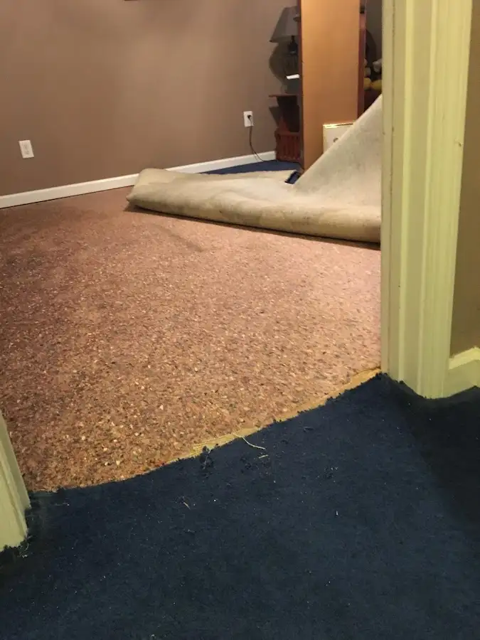 Carpet pad removal revealing water damage during Water Mitigation Services in Fairborn